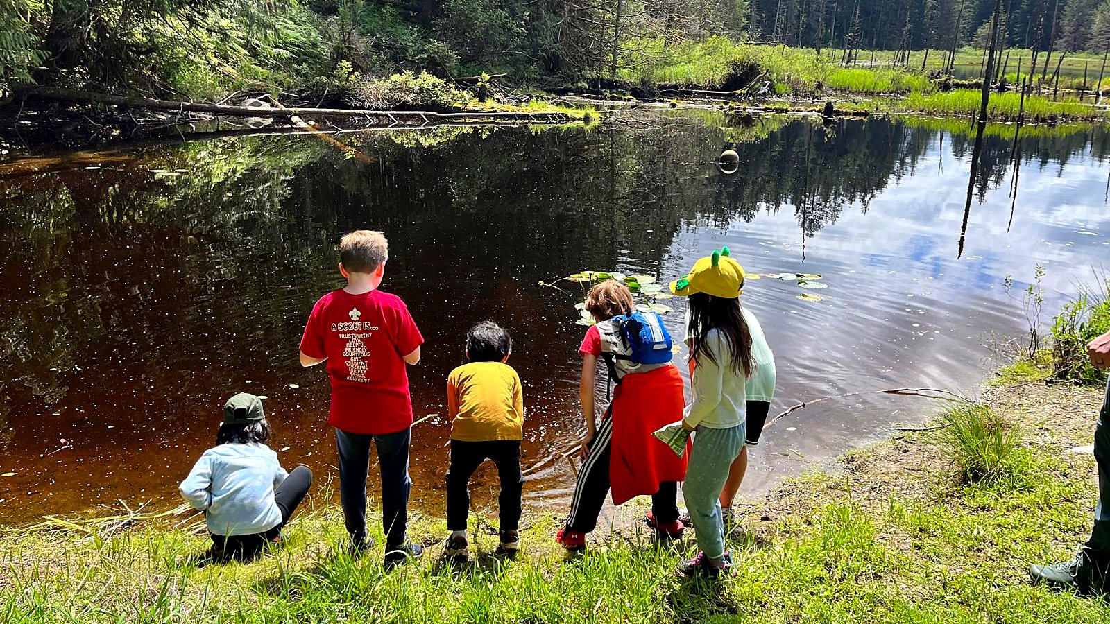 Five Cub Scouts standing at the edge of a pond in the woods, seen from behind, looking out over the water and lily pads.